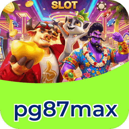 Interface pg87max